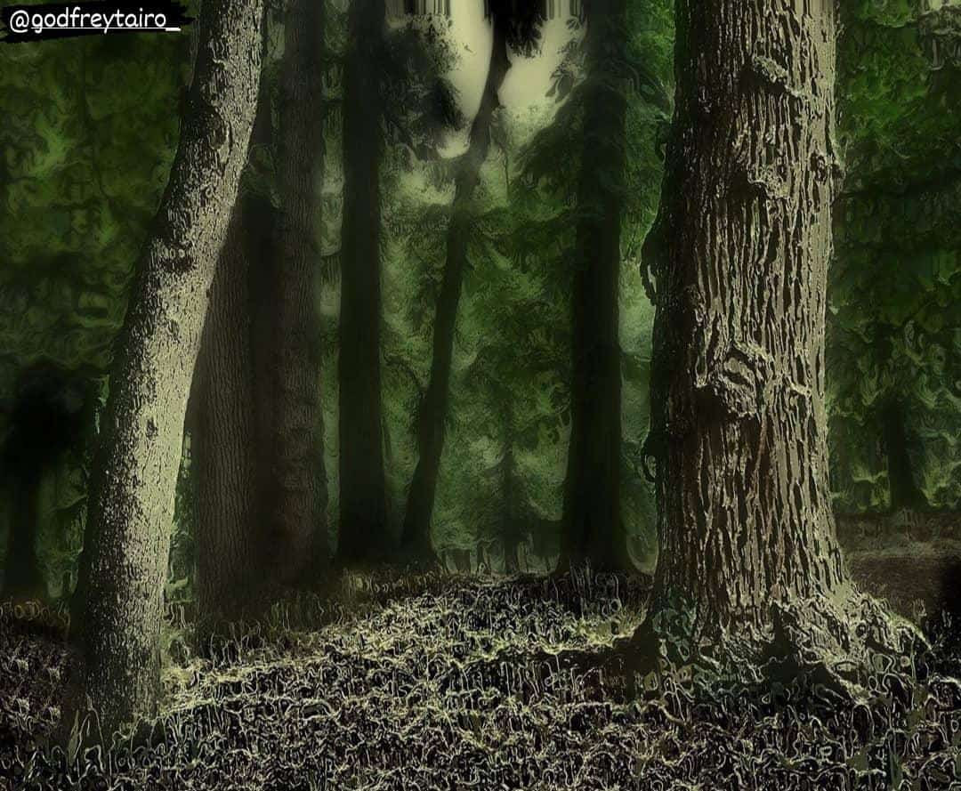 GODFREYTAIRO_'s tweet photo. "No tree, it is said, can grow to heaven unless its roots reach down to hell."
~Jung #MilkWorldCollins https://t.co/qOgwq0sfkK