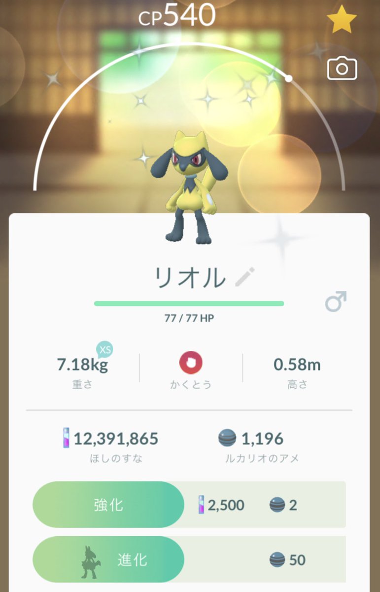 リオル色違い リオル色違い