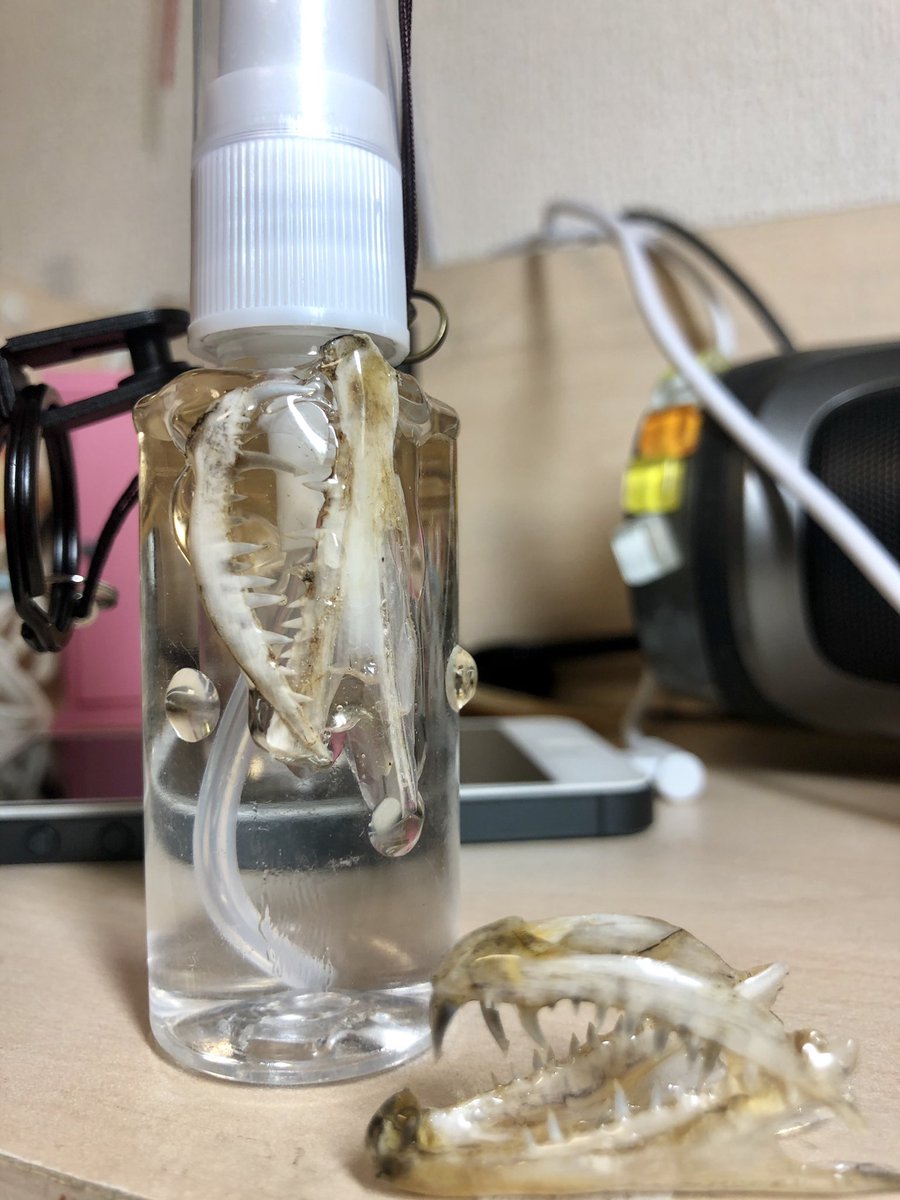 pyoncraft's tweet photo. ネックストラップで身に着ける、
アルコールボトル（30ml）
太刀魚さんの牙バージョン。 https://t.co/Kb6yuo6caa