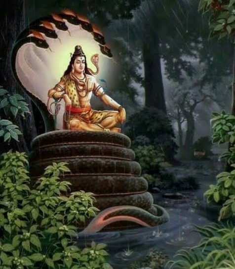 93 Om Devaya Namah 94 Om Maha Devaya Namah 95 Om Avyayaya Namah 96 Om Haraye Namah 97 Om Pusha Damta Bhethre Namah 98 Om Avya Graya Namah 99 Om Dakshadwara Haraaya Namah 100 Om Haraya Namah