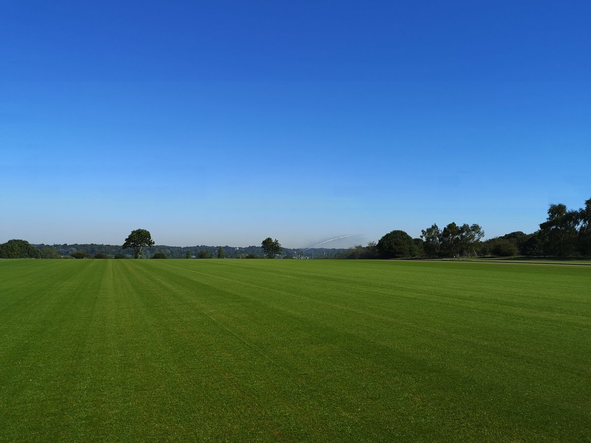 sovereignturf's tweet photo. Happy Monday! Have some blue sky and green grass to start off your week :)
#sovereignturf #bluesky #grass #turf #suffolk https://t.co/J02eJFdk0O