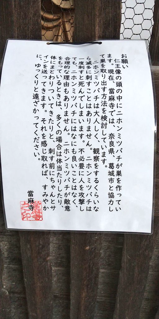 「東大門の阿形仁王様」の身体の部分に大量のミツバチが巣を作っていた！！