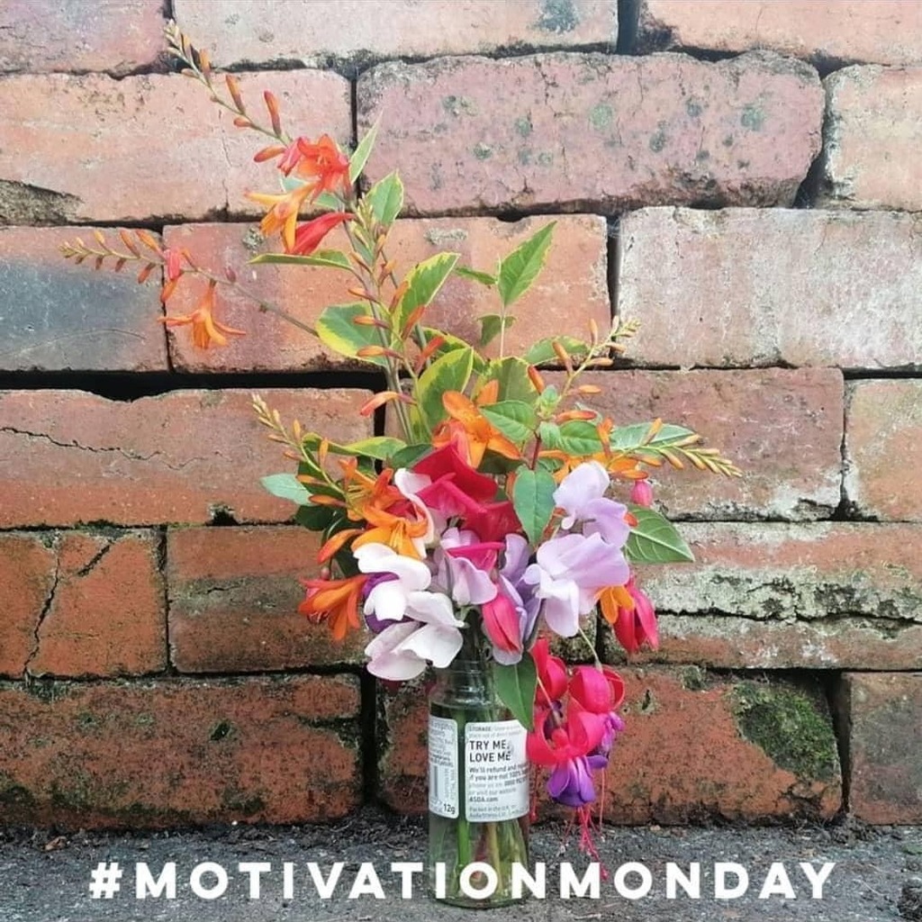 gnomes4yrhomes's tweet photo. Making new gnomes.

#motivationmonday #gnomesforyourhomes #flowerstagram #jessikaspace https://t.co/K8TJNp0hF0 https://t.co/BTDQkEhfTl