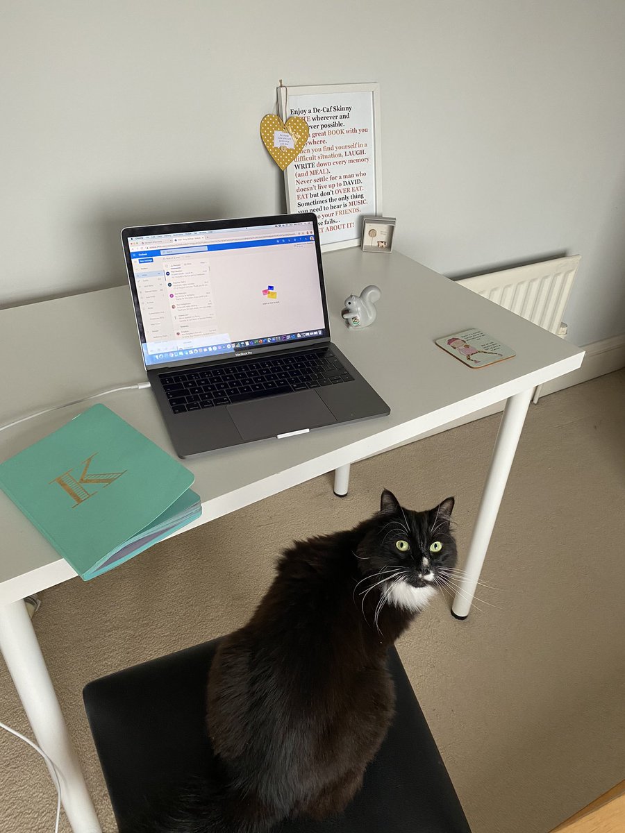 kirstyvale's tweet photo. Just nipped downstairs to get my morning coffee and came back to this! Young @FrankieThirty9 taking over this Monday morning. #workingfromhome #catsoftwitter https://t.co/F7RFaX0nnq
