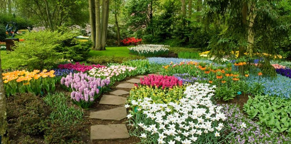 GardenWorld1's tweet photo. #LandscapeMaintenance #GardenMaintenance 
Garden World #Landscaping Company offers #Gardening Services &amp; Landscape Maintenance in Bangalore Hyderabad Chennai Vizag Vishakapatanam Ooty Nashik Nagpur Pune India at an affordable and competitive price.  https://t.co/ihADATZKph https://t.co/owLHRwbnNE