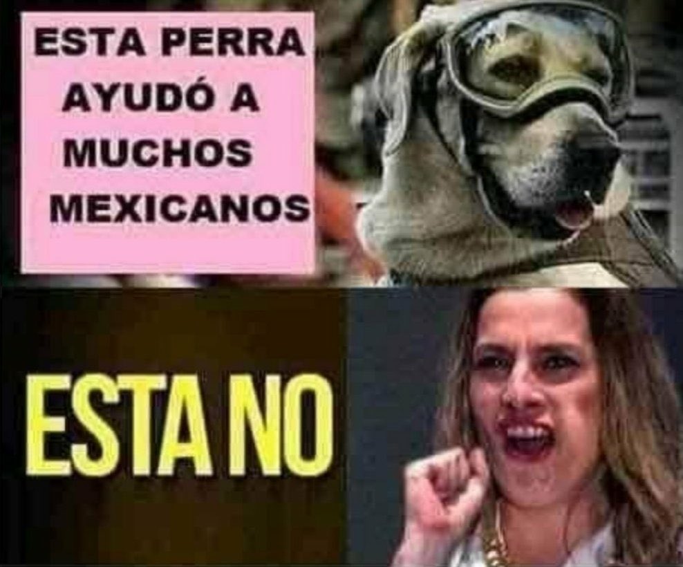JJDiazMachuca's tweet photo. ¿Por qué a la Zopilota de Palacio Nacional le dicen #BeatrizMalaMadre ? 
Por favor no usen #BeatrizMalaMadre https://t.co/cjJfccO03r