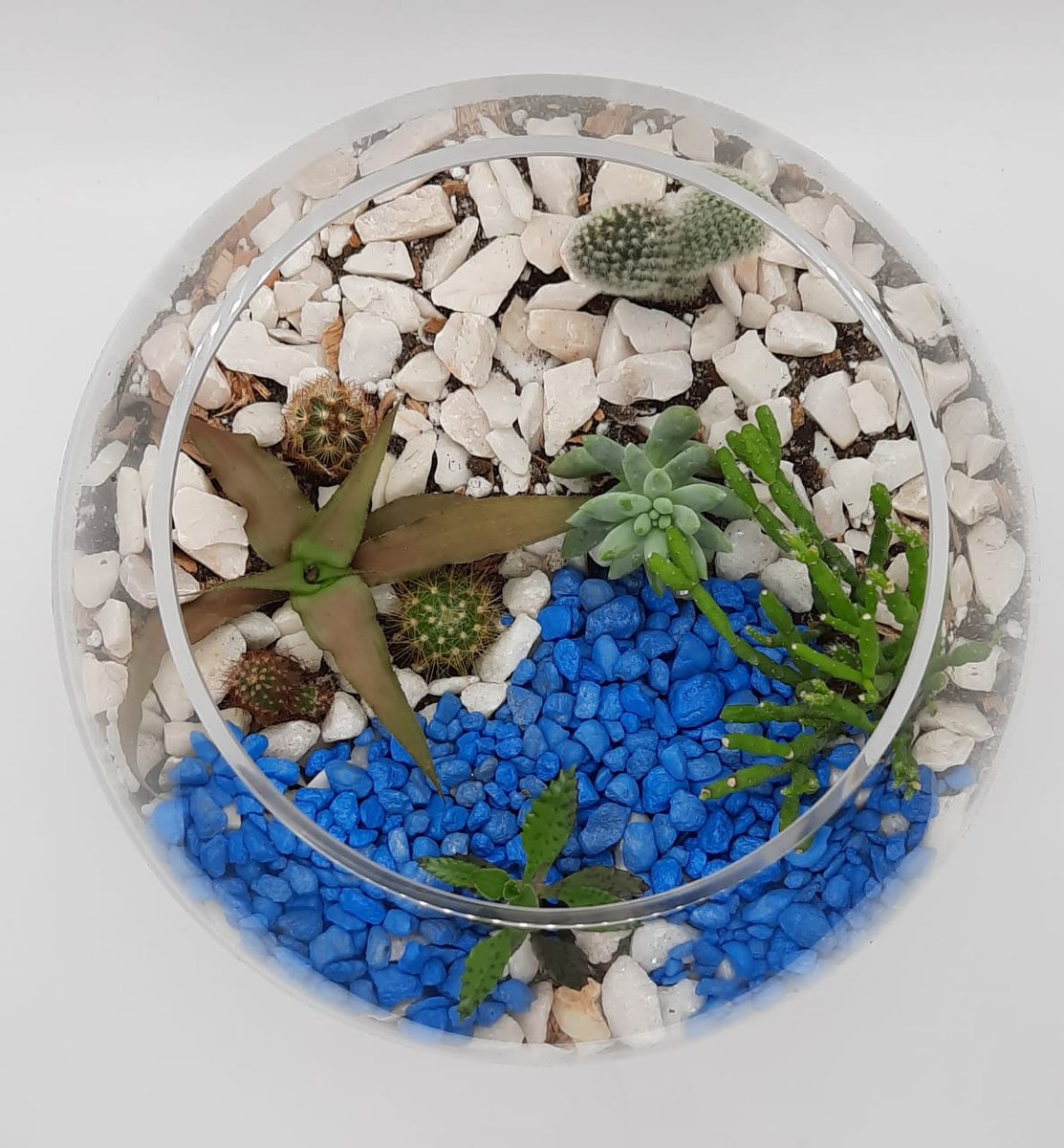 Creative Gardens SV (GardensPty) Twitter