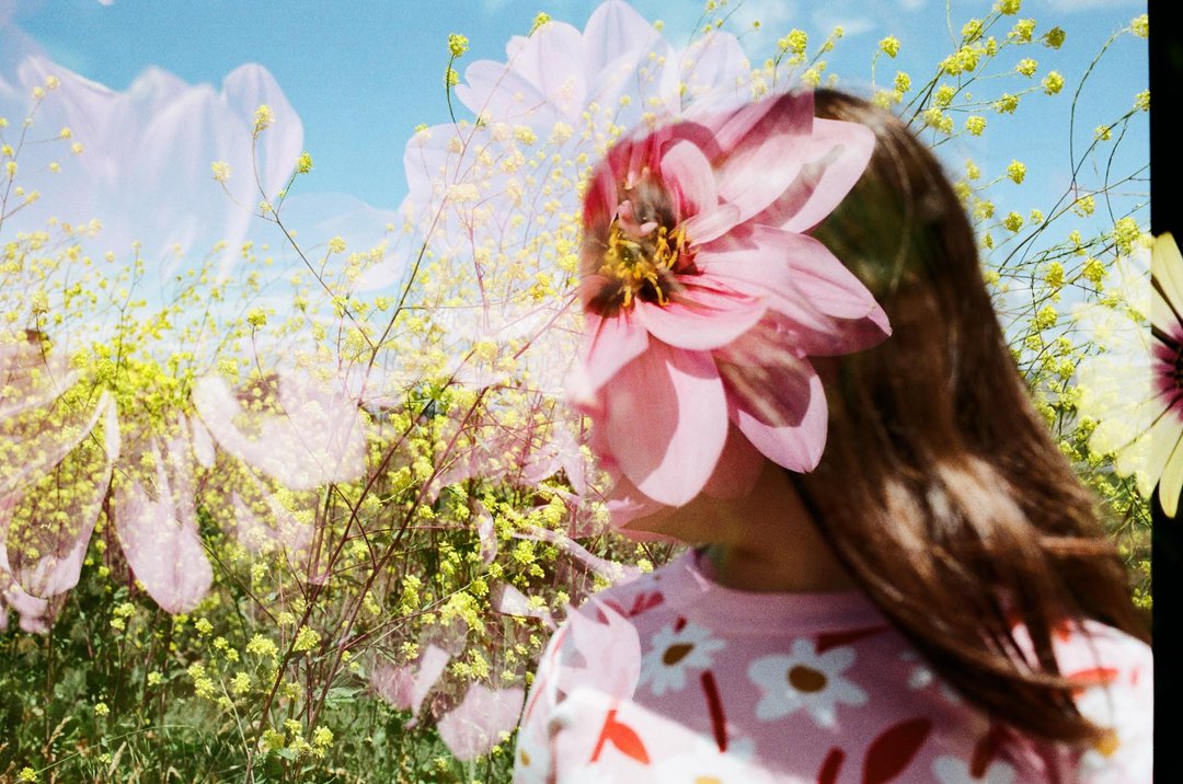 hiplushello's tweet image. 2020’s vibe seems to be “but did you die?”