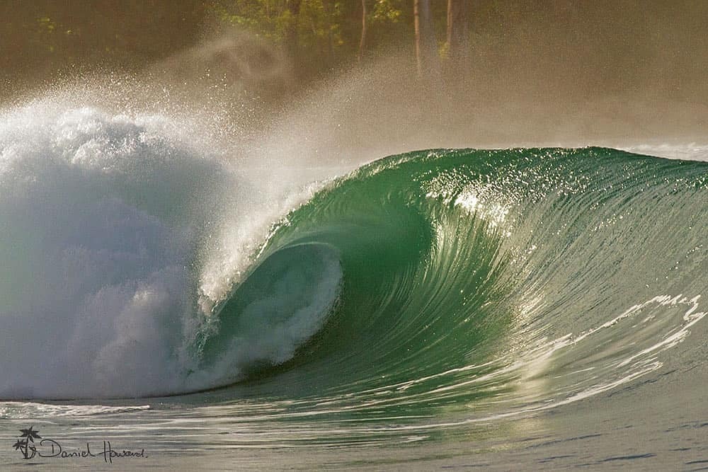 SumatranSurf's tweet photo. Photo 📷 @ocean_artwork Green bush in the Mentawai islands
.
One of the most spectacular and most photogenic waves in the Mentawai islands, Indonesia https://t.co/9jMuN5SUp9