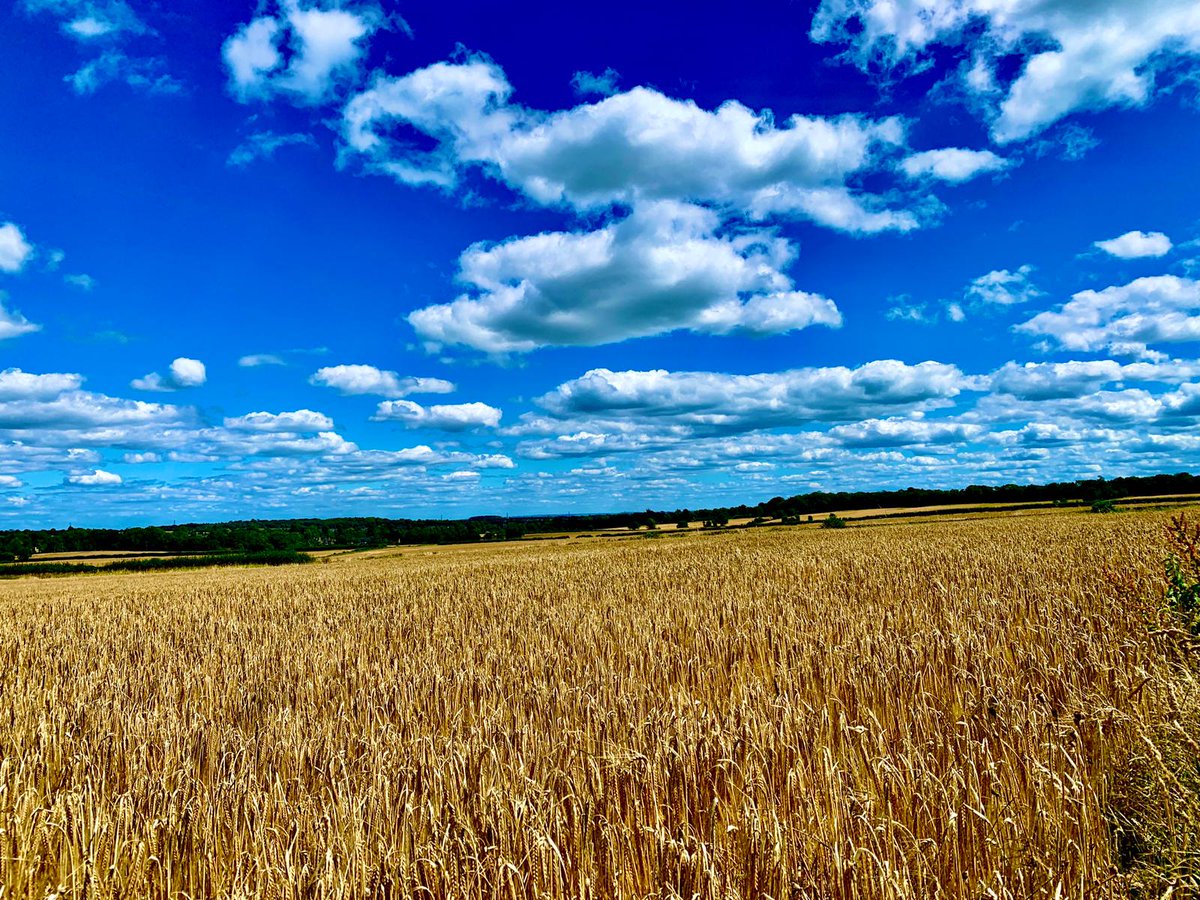 👀 Checkout some of these amazing views in and around Cirencester.. the Cotswolds is absolutely stunning! 🏞

📷These photos were taken by our very own Property inspector Mark Witts.📷