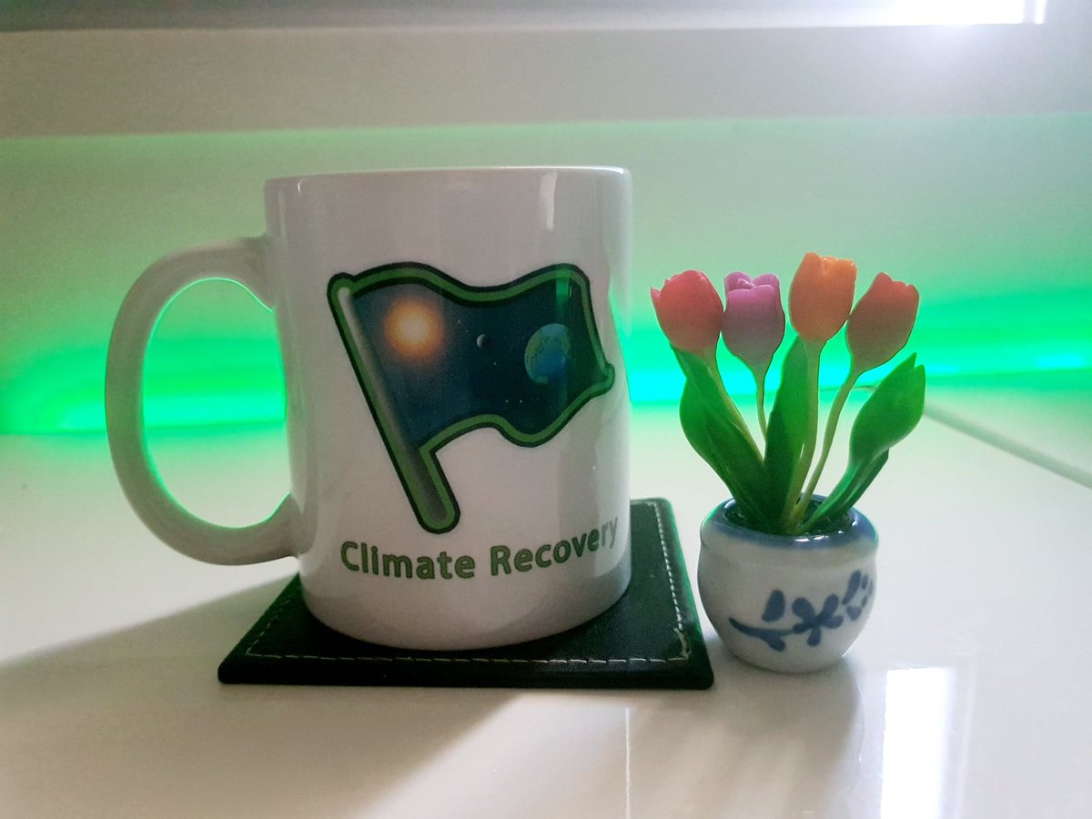 RecoveryClimate's tweet image. We have merch coming soon, all money raised will go directly to our projects 😇