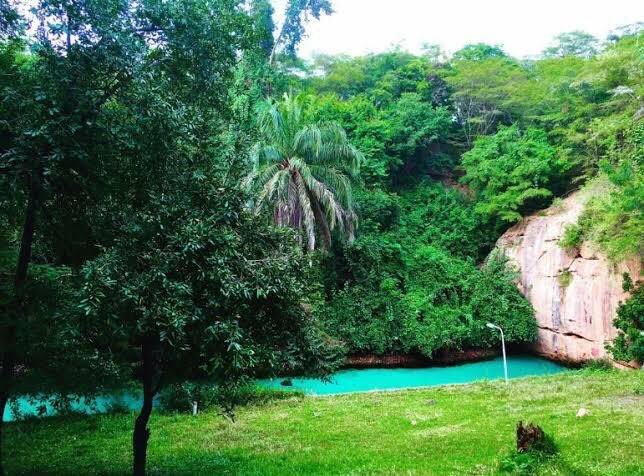 6. Yankari National ParkIt is a large wildlife park located in the south-central part of Bauchi State, in northeastern Nigeria. It covers an area of about 2,244 square kilometres and is home to several natural warm water springs, as well as a wide variety of flora and fauna.