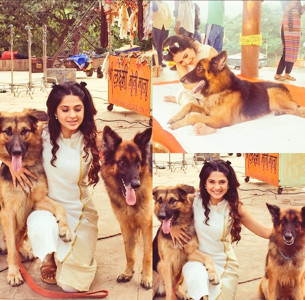 Day 17 - with animals  #jenniferwinget   #beyhadh   #beyhadh2   #bepannaah   #CodeM   #MayaAgain   #Saraswatichandra   #Maya   #DillMillGayye  @jenwinget
