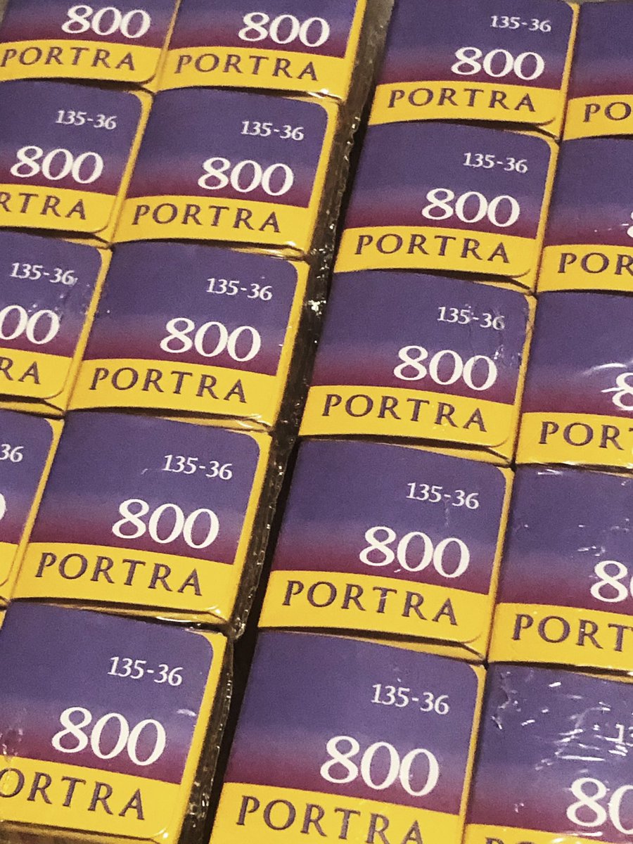 wethestudio's tweet photo. no such thing as too much #kodak #portra800 😍 https://t.co/rZUIWITtaH