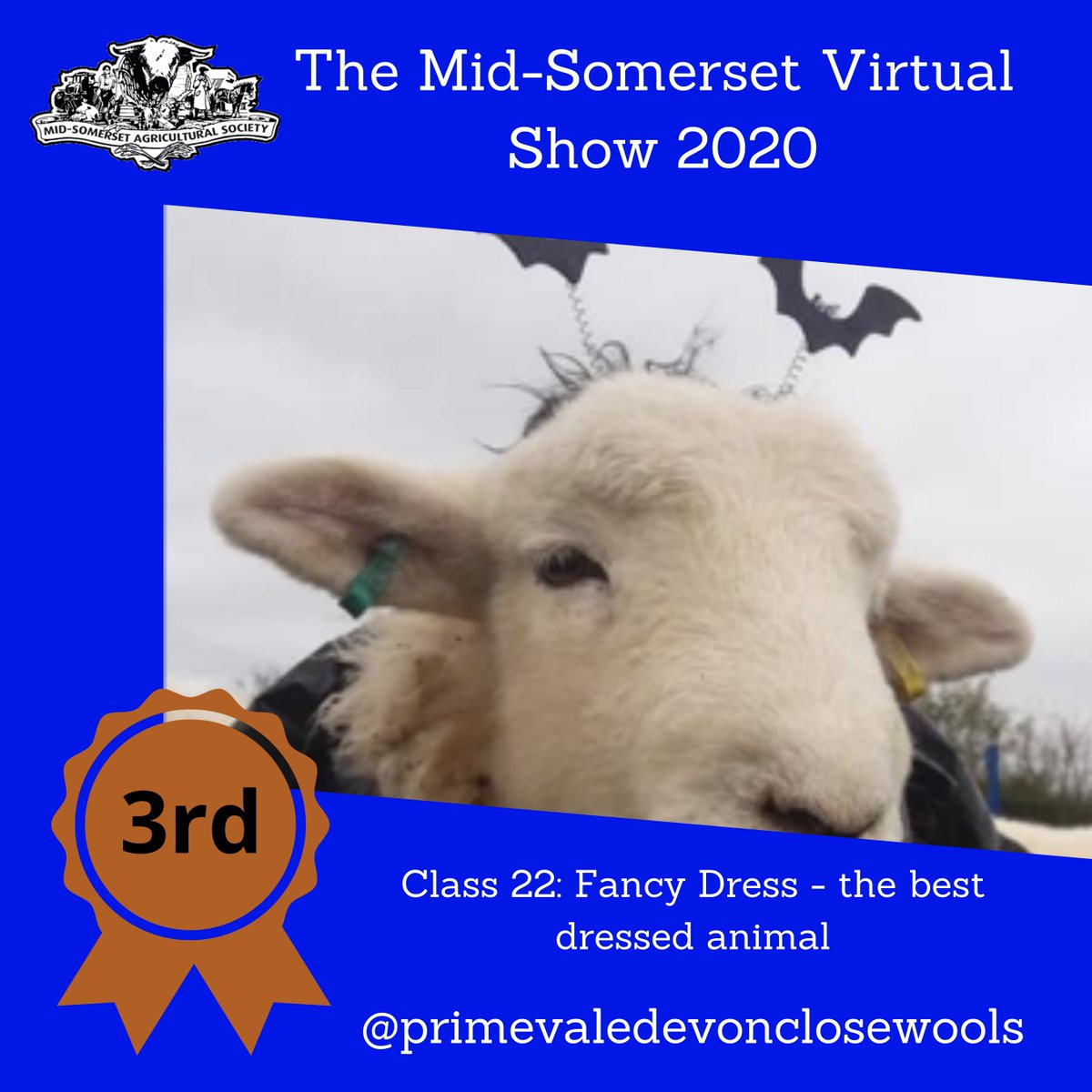 Class 22 🥇🥈🥉 #virtualmidsomshow