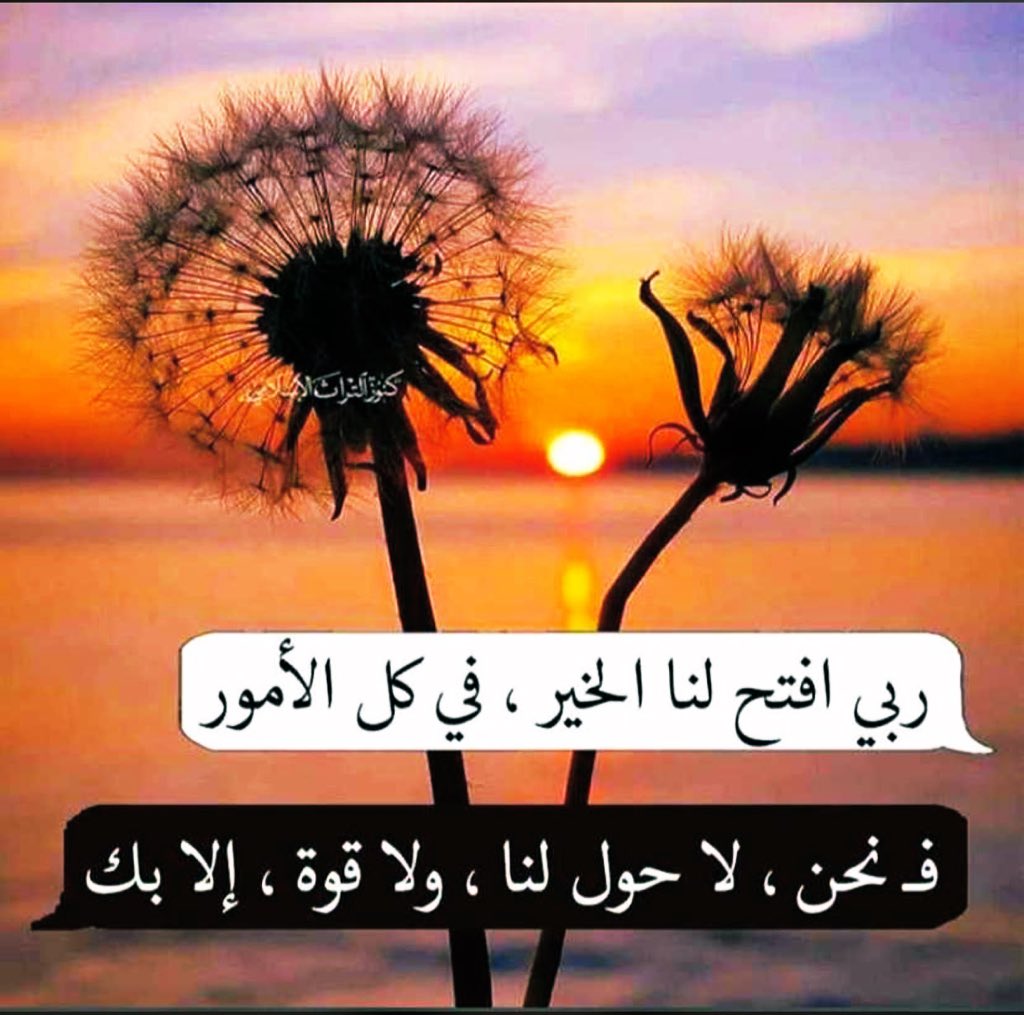 اللهم ارزقنا حسن النوايا ..وطهر القلوب وانعم علينا من عطاياك يا كريم 🤍

~
#صباح_الخير  🌹