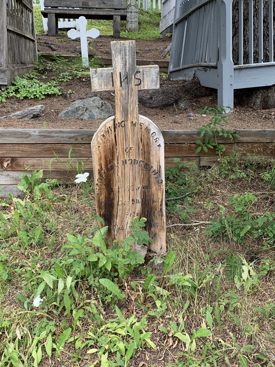 Annie Rodgers tweet media