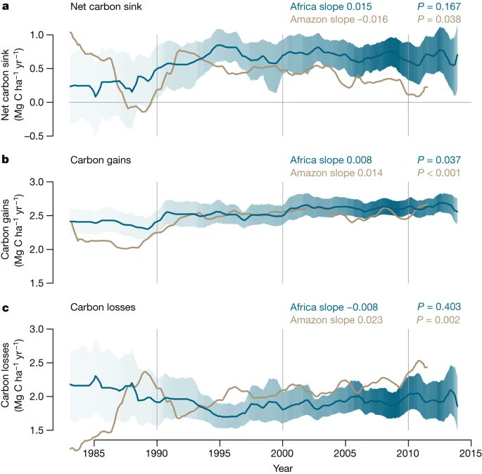 luisglezreyes's tweet photo. Las selvas amazónicas y centroafricanas alcanzaron su pico como sumideros de CO2 en los 90. Recogieron el 17% de las emisiones antropogénicas de CO2 y ahora solo el 6%.

Para la década del 30, el Amazonas será incapaz de retirar más CO2 del que emite.
https://t.co/44mQFo9oQv https://t.co/FZpQQw45Aw