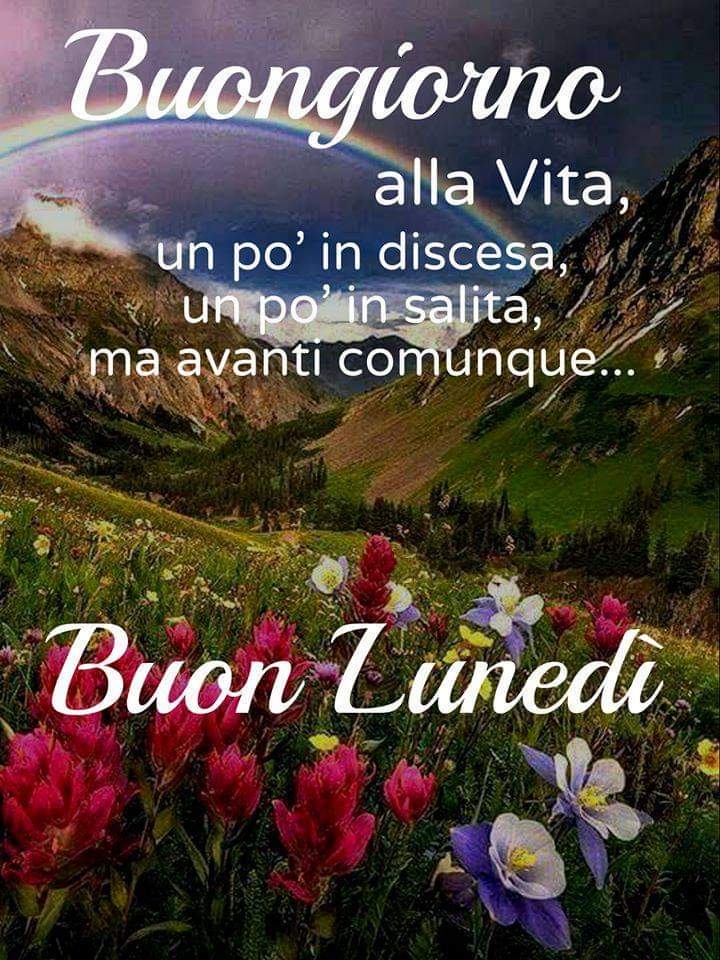 gabrielevignon2's tweet photo. Guardiamo la vita da un senso opposto alla quotidianità che si prospetta concludete voi la frase come vi aggrada di più https://t.co/FkXpbkB3KV
