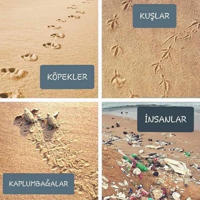 Bizler onlar ve doga