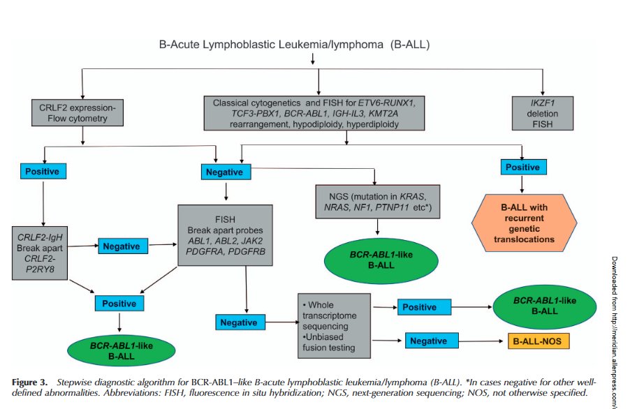 Diagnostic recommendations:NCI HR pedi B-ALL&adult B-ALL- flow cytometry including anti-CRLF2 antibodyroutine cytogeneticsFISH for ABL1, ABL2, CRLF2, EPOR, JAK2, and PDGFRBThough these are beinmg currently recommended, it remains a goal unacheievable in LIC like ours
