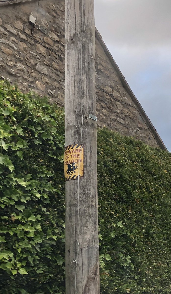 Beware of the Dragon was the next to be erected on a telegraph pole but it was a bit invisible so I moved it to the notice board. It got noticed. People started looking around for more daft signs and a mum and her son were ‘collecting’ them and posting on Facebook. 12/.