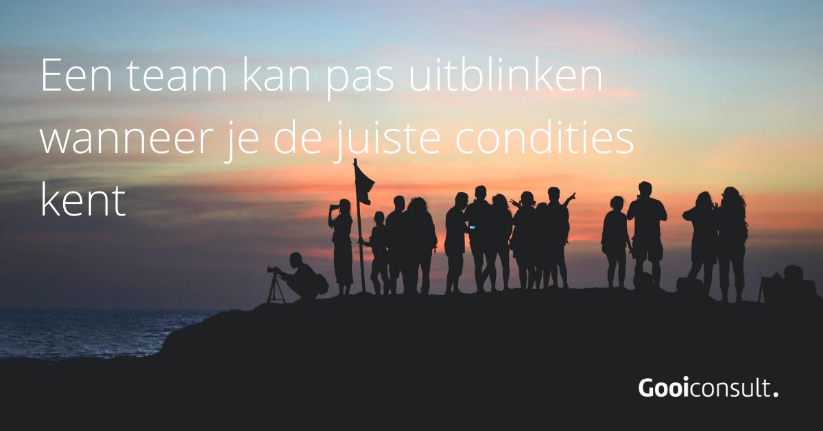 Aan welke knop draai jij om jouw organisatie te laten excelleren?