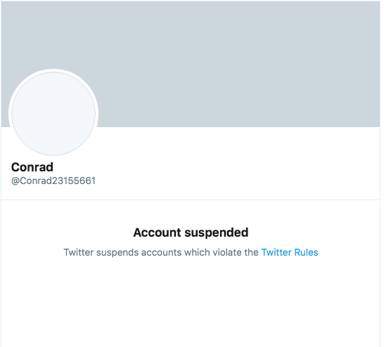 Here are the 26 account handles that I was unable to screen shot. Notice how freshly suspended they are, some of them are still sporting their emojis, these will eventual disappear. 1-4