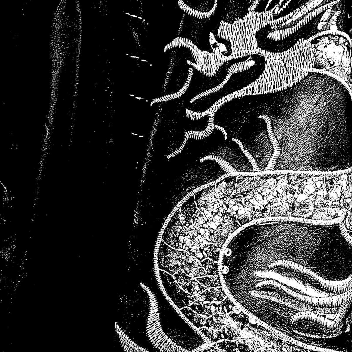 ᚐ𓊪 ˙  x̸  ⸝ ( R⃫​ ╸POND ) ˑ 𓈒 ลฟตท * 🗞️ 𓏸