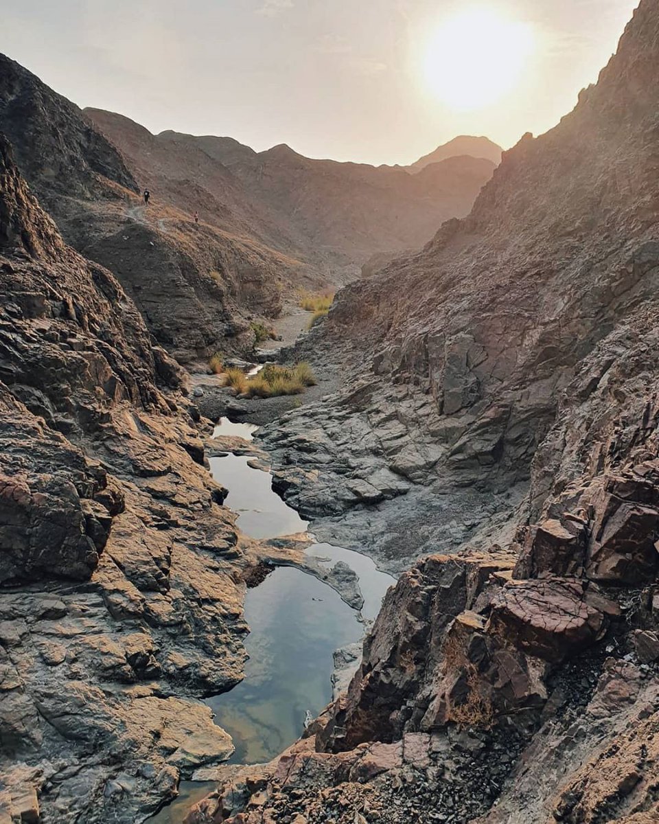 If you are a fan of hiking and amazing off road adventures then #wadishawka is the place-to-go for you. Book now and explore the hidden gem of Ras Al Khaimah with #orienttours.

pic: instagram.com/oh_schenck/  

Follow @Orienttoursdubai   
DM FOR DETAILS

#UAE #Tours #sunset