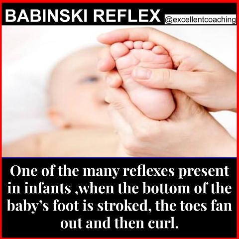 ExcellentCoach7's tweet photo. Babinski reflex was discovered by a French neurologist Joseph Francois Felix Babinski.

The presence and strength of a reflex is an important sign of nervous system development and function. https://t.co/hhqK4efLtV