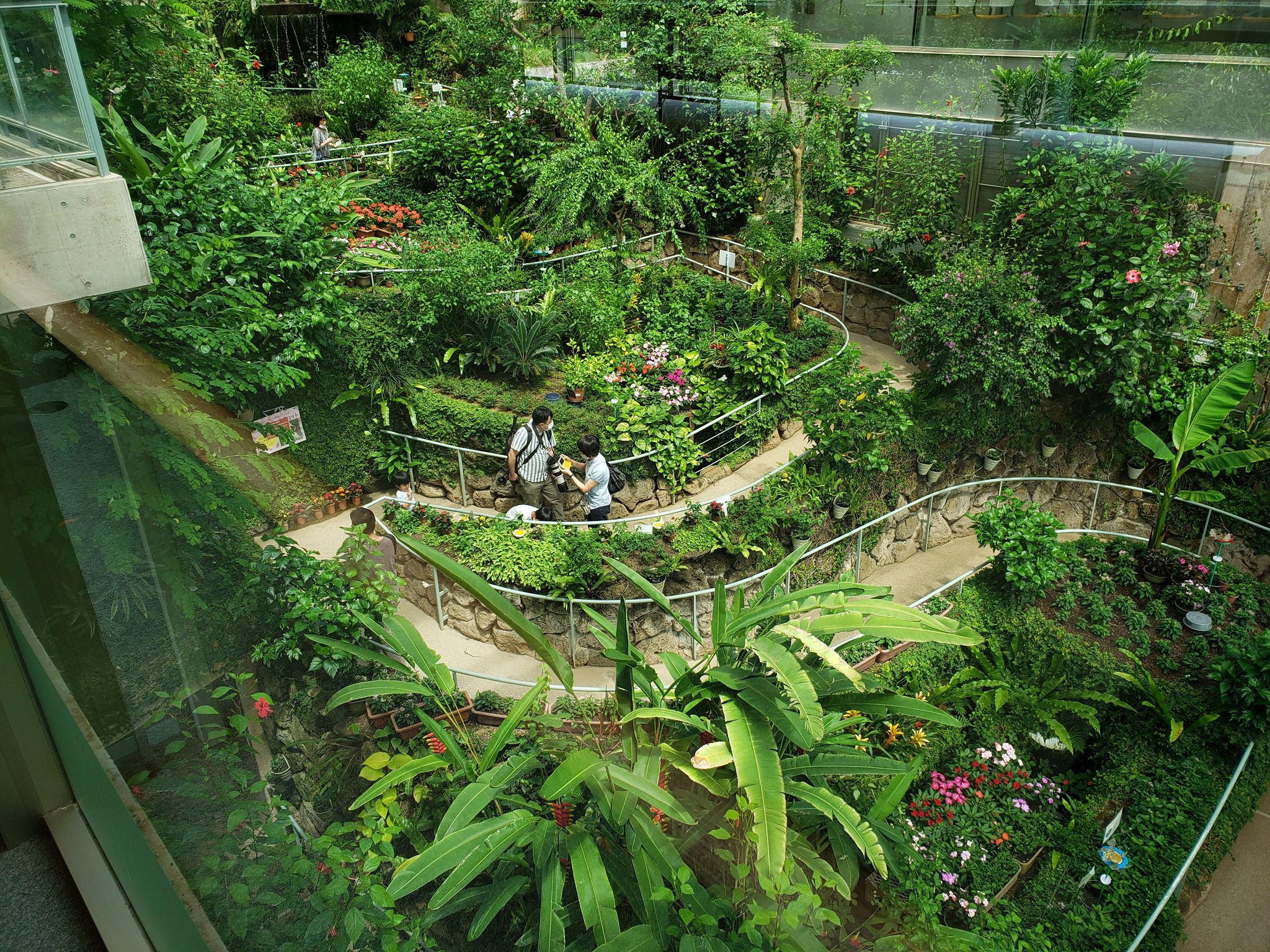 つーさんの休暇 石川県ふれあい昆虫館 瀧光夫1998 瀧先生の作品はいつもアメリカの香りがする 白山市にある昆虫館は勾配のある放蝶温室が見所 まるでサンフランシスコのロンバートストリートを模したかのようなクネクネ道 止められない瀧巡礼