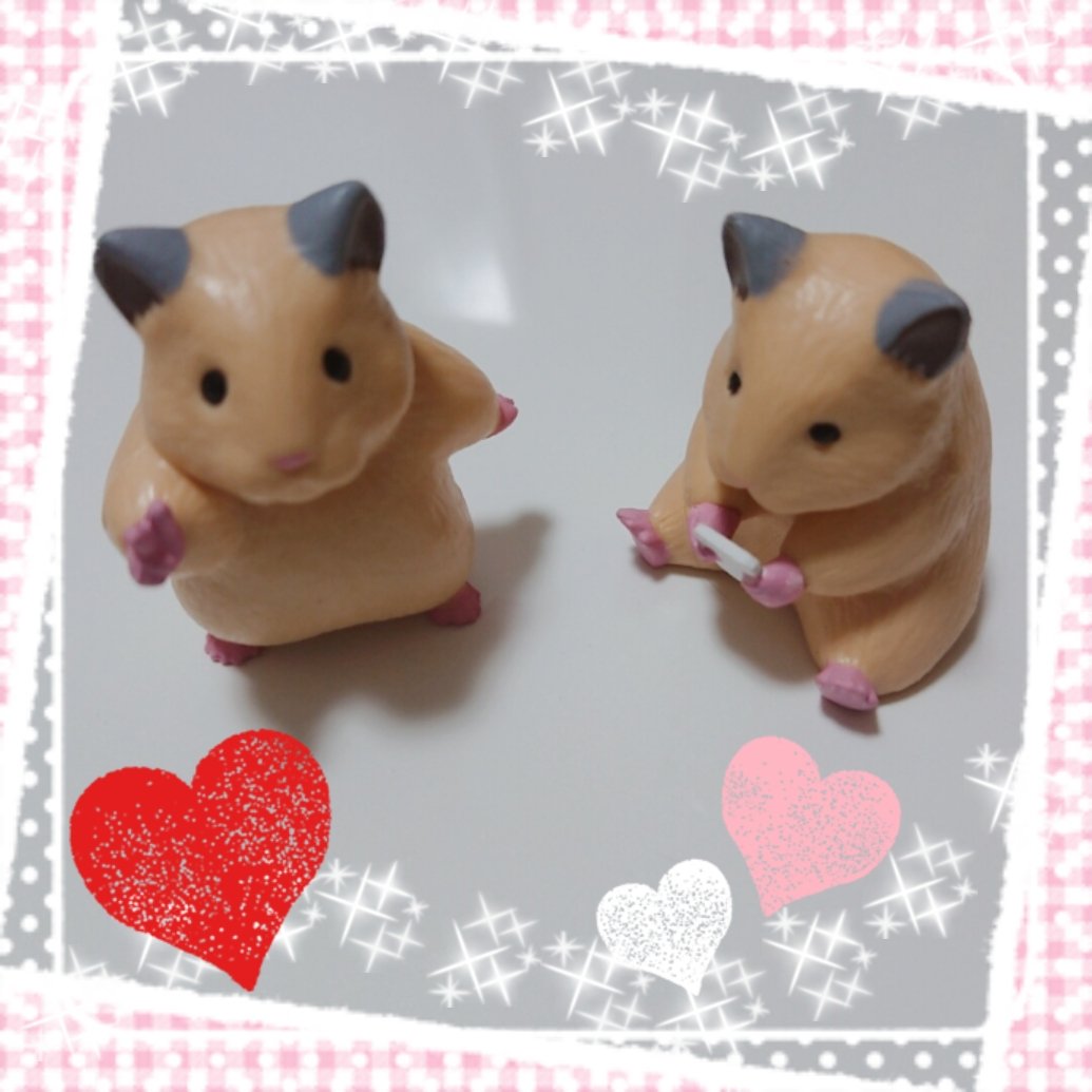 mickey_hm's tweet photo. さっそくガチャしてきた！
パジャマパーティーとキンクマバチが気になってたけどこれも可愛い❣️

#助六の日常 https://t.co/uS5rU0s3Et