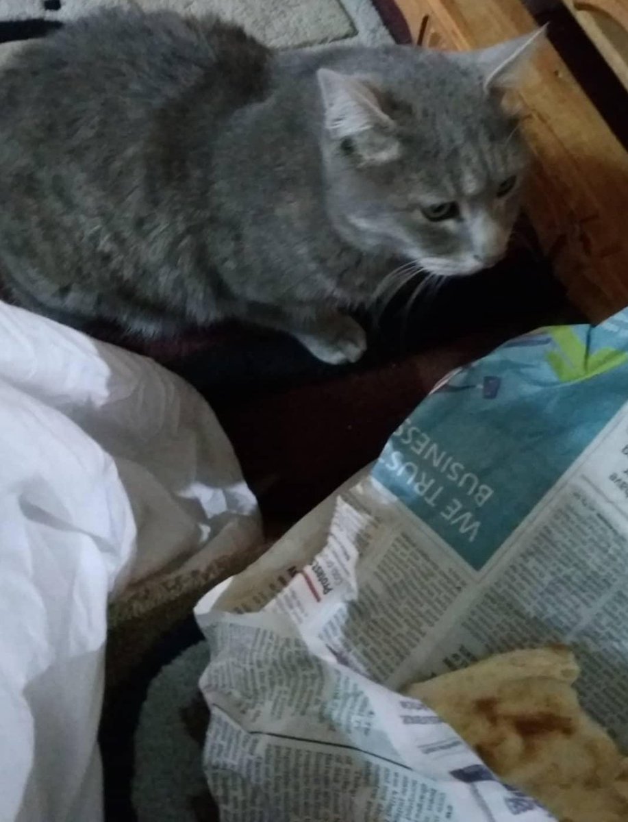 The big round bread in the bottom row in first photo is Krippè. Usually served with Kehwa.I of course ate the bread as it is. I walked around stuffing my face with different breads the whole trip. That is the homestay cat trying to steal some Tsot.