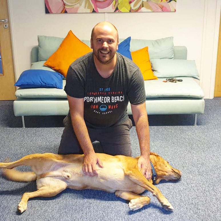 fareham_bc's tweet photo. National Bring Your Dog To Work Day was on June 26th...however, here at FBC you can bring your best pal to work EVERY DAY! 😃🥳🐶  #mansbestfriend #cute #dogslife #ilovemydog https://t.co/tyD6iSg4RQ