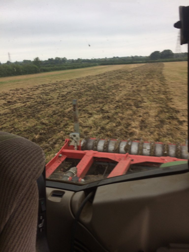 This fields been set aside since 1992, be interesting to see how it works down ready for a fresh grass ley.