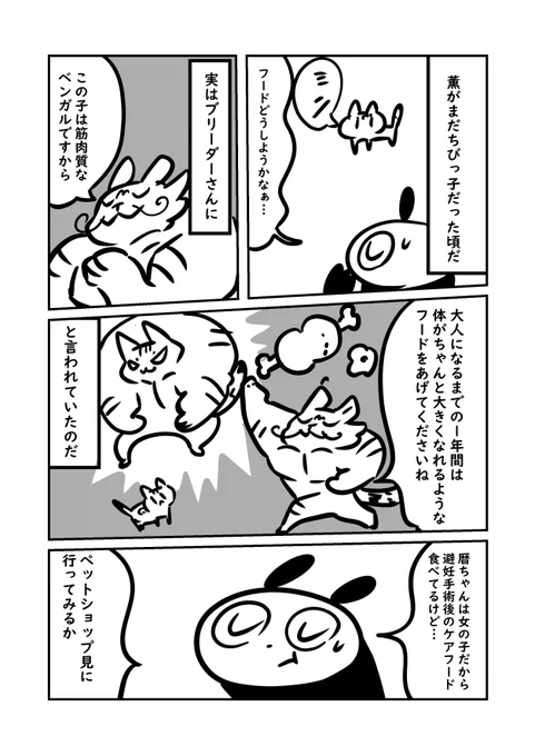 姉に犯罪者と勘違いされた話  #ぬら次郎日記 #猫パン日記 