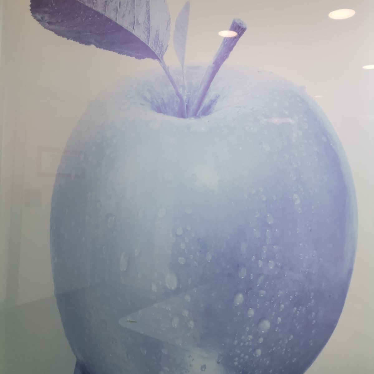 La manzana, nuestra seña de identidad. 
.
Sagarra, gure identitatea.