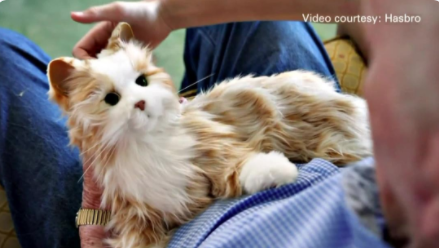 TheCatsSister's tweet photo. We all know pets are good for us, but who knew robotic ones worked too?  https://t.co/aKYj31LJLU https://t.co/OrUy2SO7aa