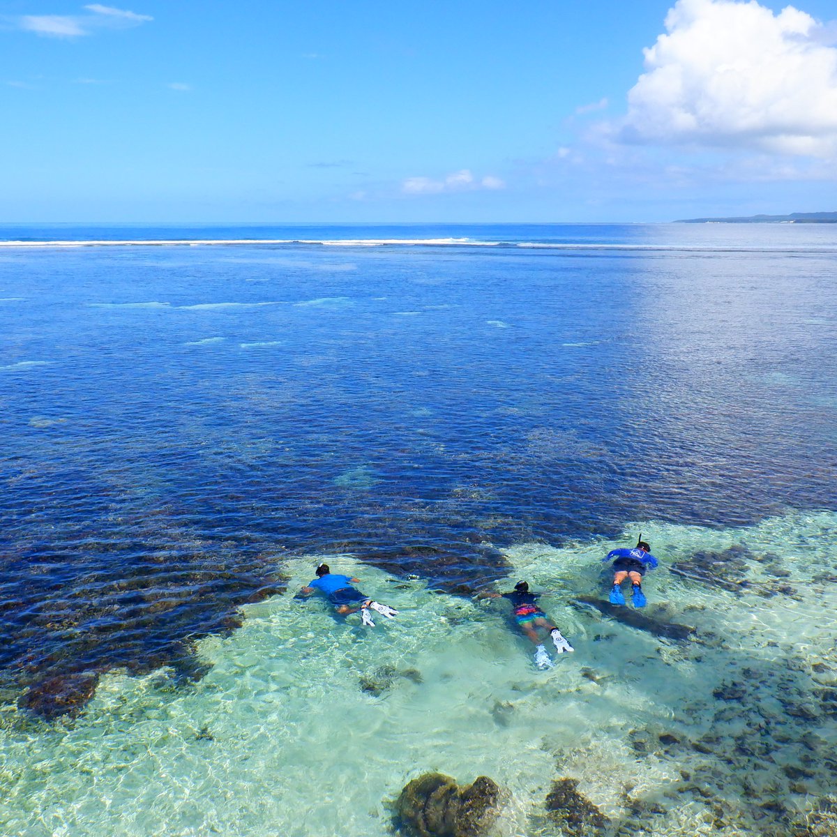 asdmwr's tweet photo. "We know that when we protect our Oceans we're protecting our future" - President Bill Clinton.

Inspiring future guardians of our oceans.
#ASReefcheck #ProtectOurHome https://t.co/rB08KgYORb