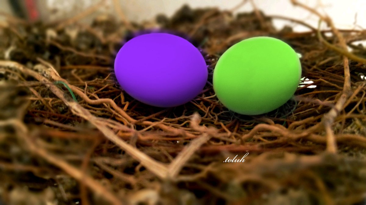 _toluhh's tweet photo. Sometimes, the norm could be too boring.β£
β£
Change perspectives, create new ideas and implement them. β£
β£
Make standing out your norm. β£
β£
#phonephotography #phoneediting https://t.co/cAWbCGEiwo