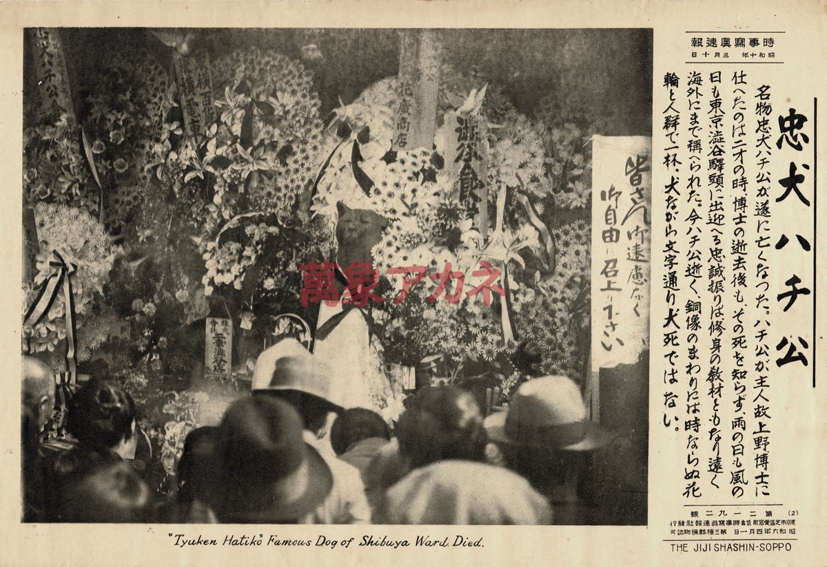 よだかの星 Xing Lyrics Follow Lyrics