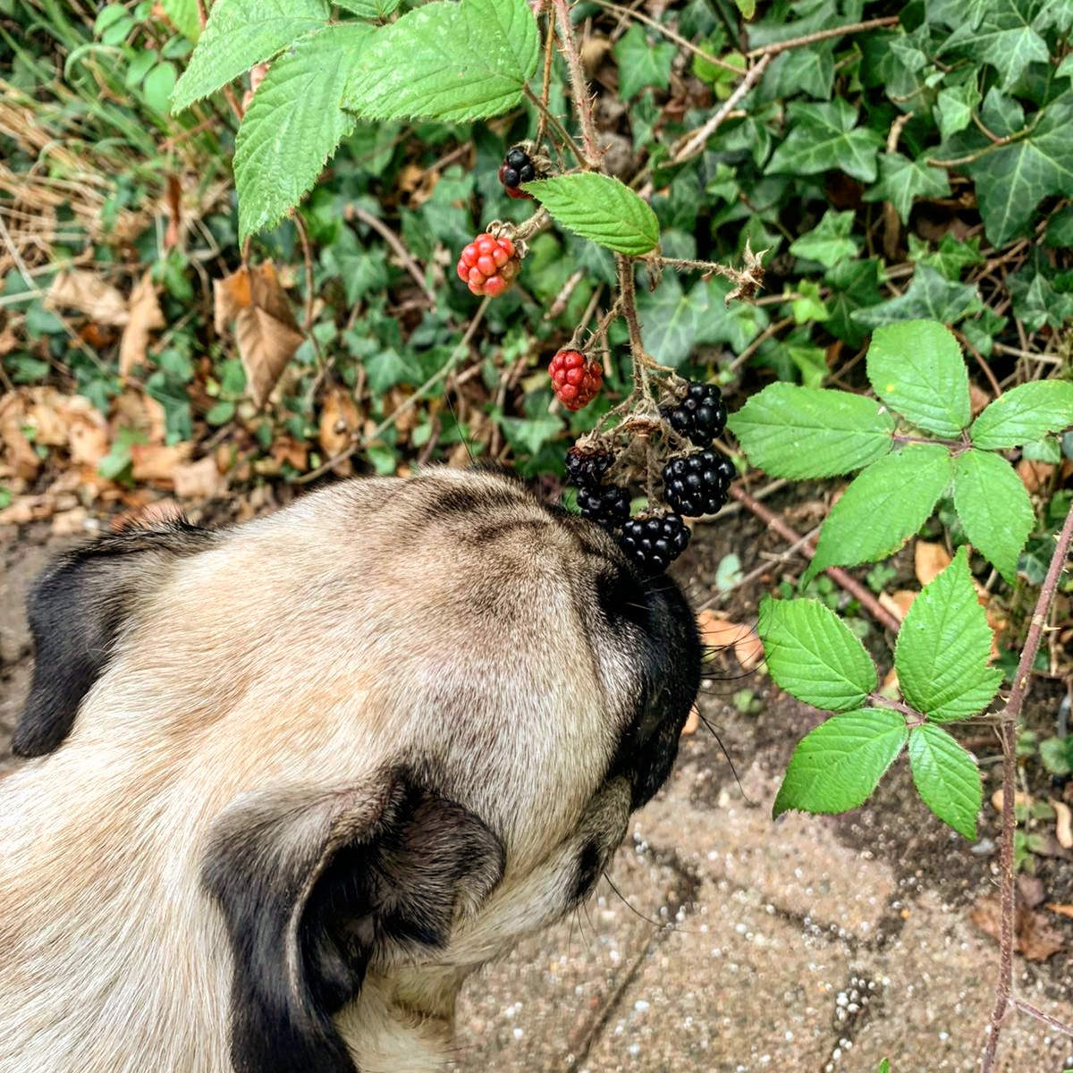Discovering Autumn is around the corner... 😋🥰