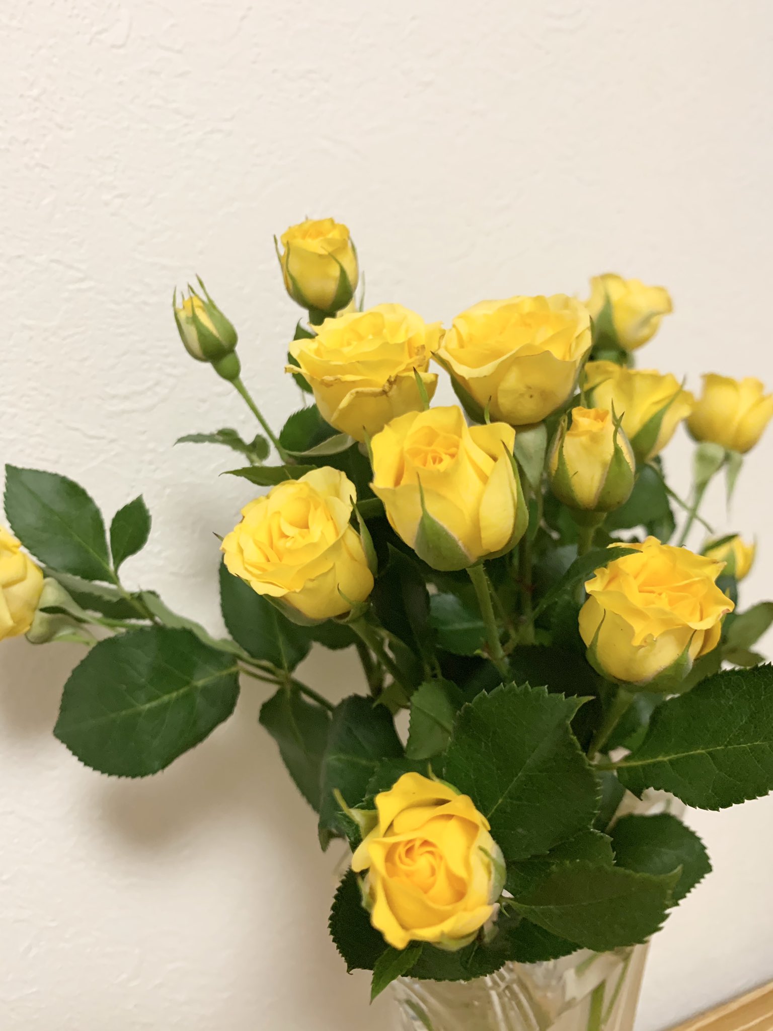 干支九星気学 断易 占い師 直美 ナオミ 寝室のお花 は 黄色い薔薇 花言葉 は 嫉妬 男の嫉妬はダサい と最近感じた ヤキモチ焼きはほどほどに ね T Co Hfvcv5avcu Twitter