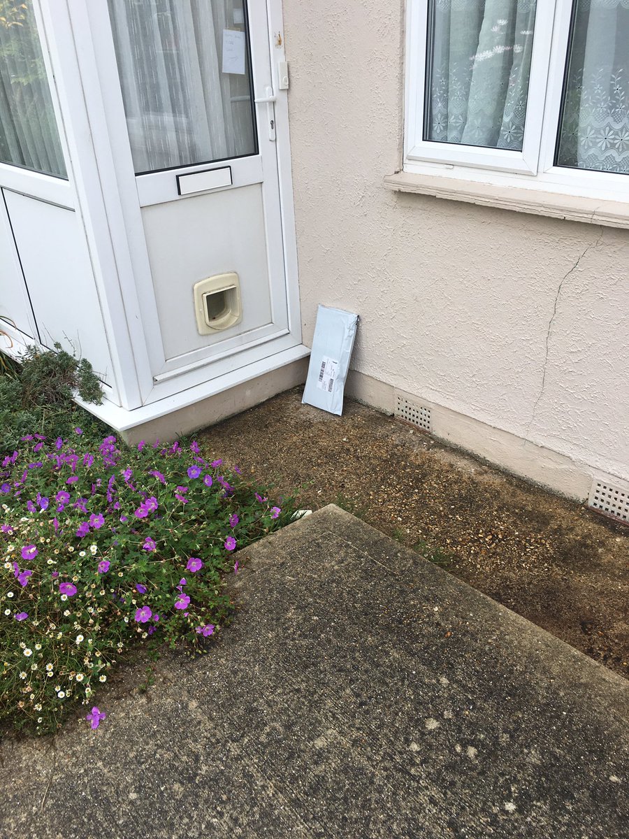 Hannah Cheetham tweet media