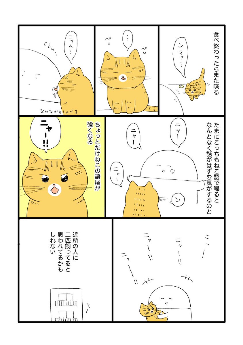 会話 