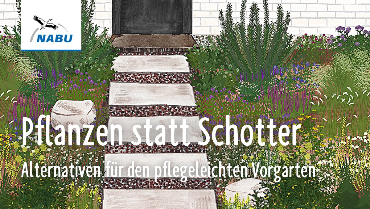 🦋🐝🐦Lieber grüne Gärten als Steinwüsten! Wir zeigen tolle Alternativen für #Schottergärten, die pflegeleicht und ökologisch sinnvoll sind: ▶️NABU.de/vorgarten