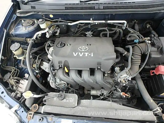 RtsUganda's tweet photo. TOYOTA COROLLA FIELDER 2006/7 X
CIF MOMBASA: USD 2,730

Fuel Type: PETROL
Mileage: 97,000km
Transmission: AT
Drive: 4WD
5door 4seats

https://t.co/Dj0FDa3P8l
For more information contact: 256 773889244/ 256 701889288
#SBTUganda #cheapcars #Japaneseusedcardealer #toyotafielder https://t.co/LI9VnPwKwx