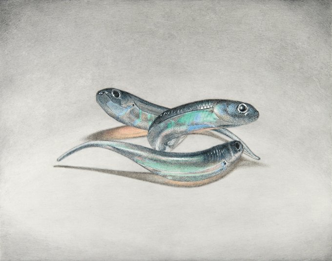 絵の具のtwitterイラスト検索結果 絵の具のtwitterイラスト検索結果