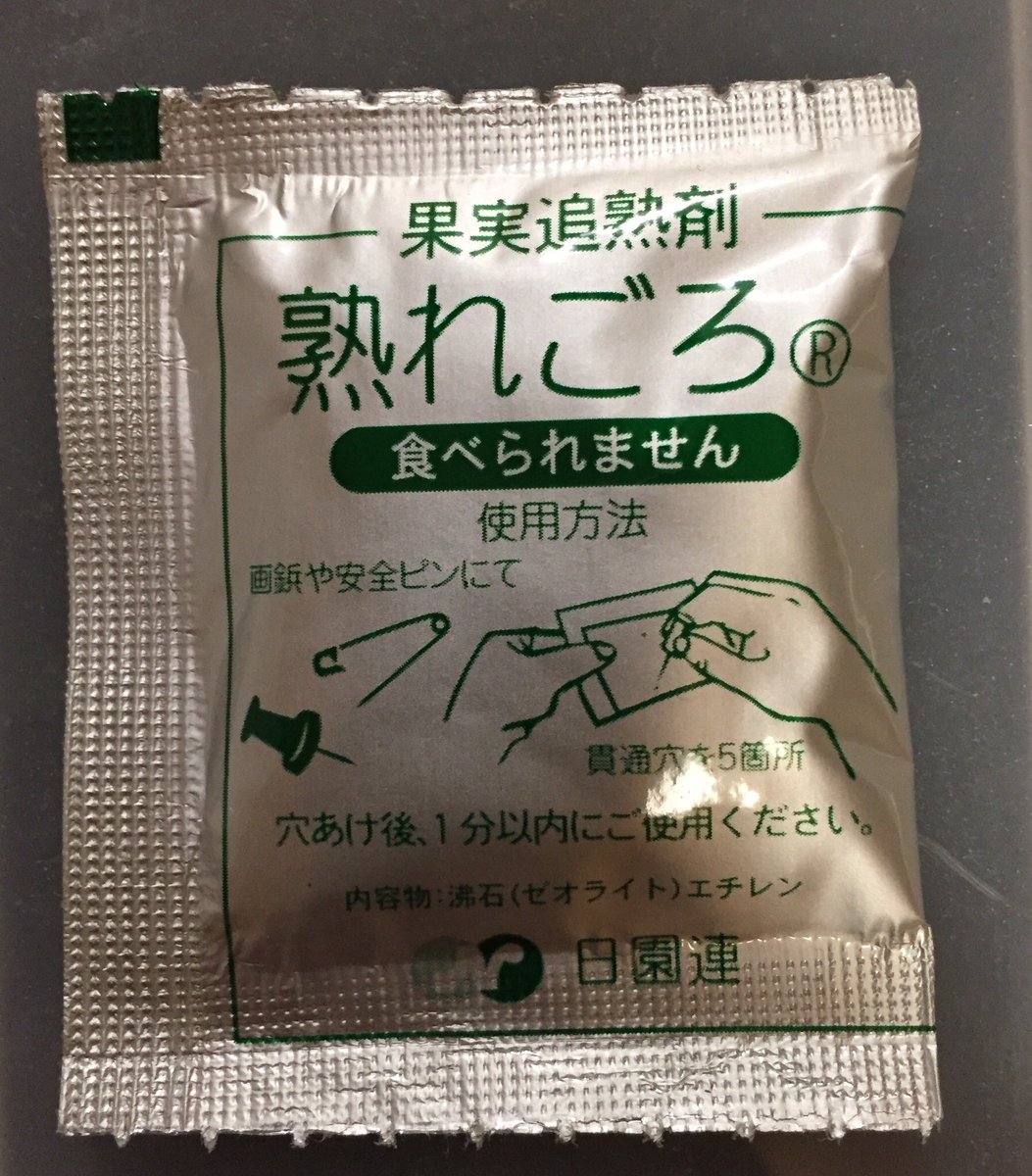 Akigo お盆明けは一部の球根ランのエチレン処理です 密閉できる容器に球根とエチレン発生材 果実追熟剤がオススメ バナナや リンゴの皮でも可 を入れ 1 2週間保管して花芽の分化を促進させます
